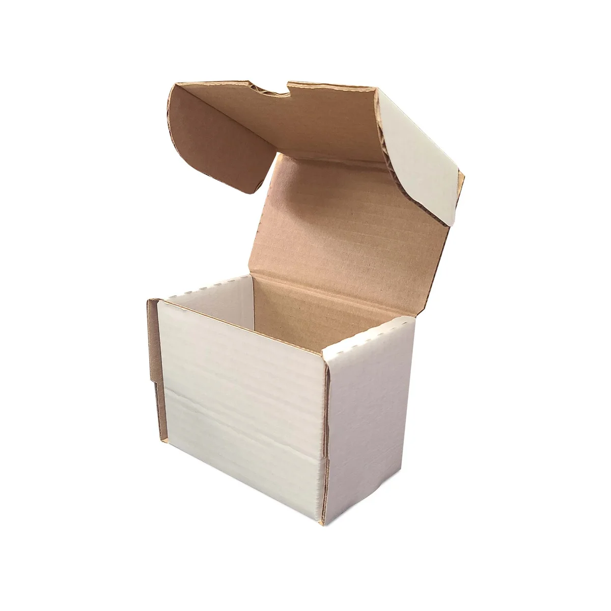 Toploaders Storage Box